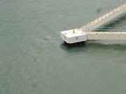 Freedom Cruise 1 2-24-08 050